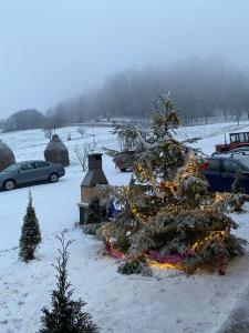 a christmas tree with lights in the snow at Casa Leca in Breb