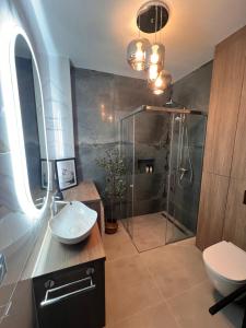 a bathroom with a shower and a sink and a toilet at Villa Monte Apartament z ogrodem in Kudowa-Zdrój +29 photos