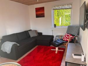 格斯廷的住宿－Hyggelig lejlighed i Rinkenæs，带沙发和红色地毯的客厅