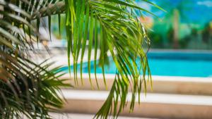 A piscina localizada em Casita Palma Resort ou nos arredores