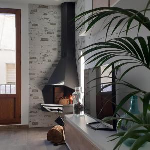 a living room with a fireplace and a plant at L'Amagatall in Ahín