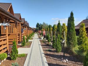 a row of trees in a garden at Domki u Górali in Wicie