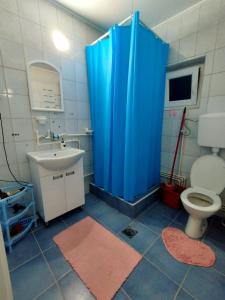 a bathroom with a toilet and a blue shower curtain at Apartman HeLena in Soko Banja