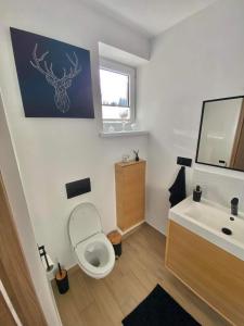 a bathroom with a toilet and a sink at Apartament Guziczek2 in Nowy Targ