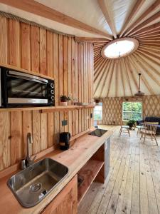 a kitchen with a sink and a microwave at CIPRES Ecolodge & Spa in Frutillar