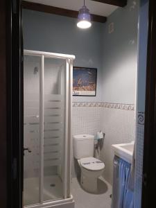 La salle de bains est pourvue d'une douche, de toilettes et d'un lavabo. dans l'établissement Casa Rural Leonor con piscina privada, à Casar de Palomero