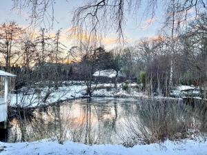 einen Teich auf einem schneebedeckten Feld mit Bäumen in der Unterkunft Cozy Rooms at Organic Vinery, Vesterhave Vingaard - see more at BY-BJERG COM in Karrebæksminde