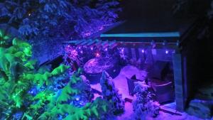 Un modelo de casa con luces de Navidad en Lux Houses w DOMKU tylko DWA APARTAMENTYz jacuzzi zewnętrznym, en Groń