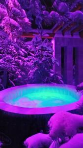 a hot tub with pink and green lights at Lux Houses w DOMKU tylko DWA APARTAMENTYz jacuzzi zewnętrznym in Groń