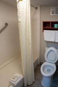 y baño con aseo y cortina de ducha. en Baymont by Wyndham Austin University Area, en Austin