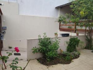 a wall with potted plants on the side of a building at Casa de praia em Cabo Frio até 12 hospedes in Cabo Frio