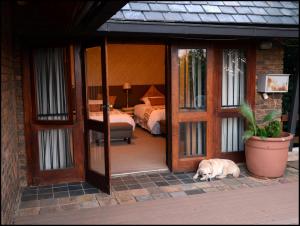a dog laying on the ground next to a bedroom at UnionView in Pretoria