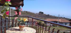 A balcony or terrace at Petite Maison dell'Etna