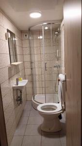a bathroom with a toilet and a shower and a sink at Počitniška hiša Jeklar in Bohinj