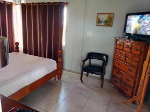 a bedroom with a bed and a dresser and a television at Zeus Guesthouse in Grays Hill