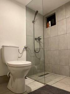 豐達塔的住宿－RoiA Chalet Fundata 1，一间带卫生间和玻璃淋浴间的浴室