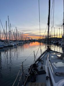 a group of boats docked in a marina at sunset at Voilier traditionnel, tout confort et au calme in Gruissan