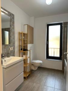 Lipatti 15 Apartments by GLAM LUXURY في تيميشوارا: حمام مع مرحاض ومغسلة ونافذة