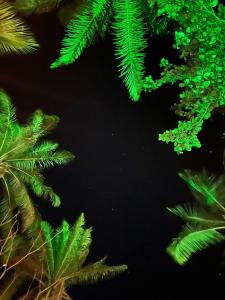Fotografie z fotogalerie ubytování Pousada Estrela Itacaré v destinaci Itacaré