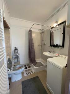 a small bathroom with a toilet and a sink at Appartement rez de jardin in La Chartre-sur-le-Loir