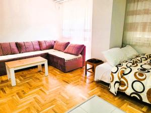sala de estar con sofá y suelo de madera en Cozy studio apartment near the city park en Strumica