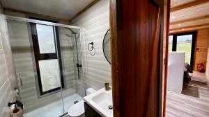 uma casa de banho com um chuveiro, um lavatório e um espelho. em Puerta austral em Puelo