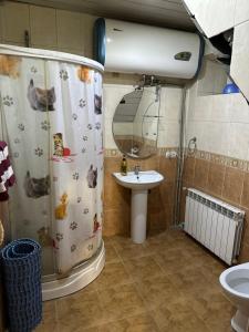 a bathroom with a shower curtain with ducks and a sink at Горная Сказка in Besqaynar