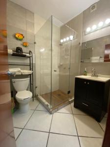 uma casa de banho com um chuveiro, um WC e um lavatório. em Ocean Front Condo sleeps 4 - on the Ocean - Marina View- Tiara Sands Resort em Mazatlán