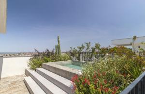 サンミゲル・デ・アジェンデにあるCasas y Suites Indigo San Miguelのサボテンのある庭園内のスイミングプール