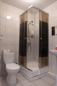 Un baño con ducha, inodoro y lavabo. en Usługi Noclegowe i Gastronomiczne dla Ludności Robert Mielcarek, en Kobyla Góra