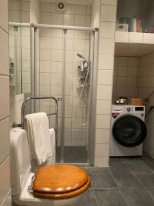 a bathroom with a toilet and a washing machine at Lovely two bedroom flat in central Oslo in Oslo