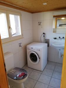 a bathroom with a washing machine and a sink at Chalet Bärenhaus in Sigriswil