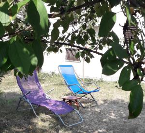 Aed väljaspool majutusasutust Kuca za odmor Zicanka