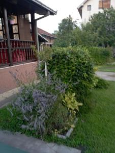 Aed väljaspool majutusasutust Kuca za odmor Zicanka