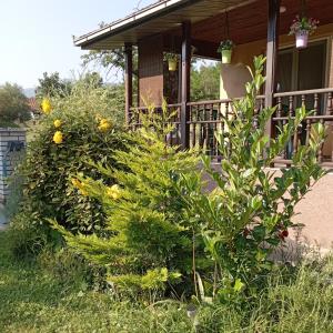 Aed väljaspool majutusasutust Kuca za odmor Zicanka