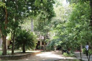 a park with trees and a building in the background at Polonnaruwa Holiday Inn in Polonnaruwa