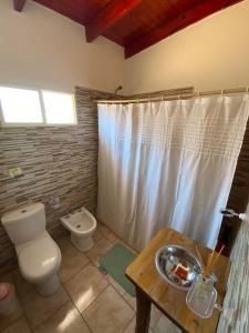 a bathroom with a toilet and a sink and a shower at CATALINA in Neuquén