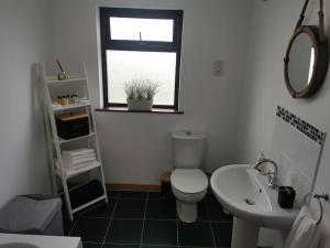 a bathroom with a toilet and a sink and a window at Greenbrae's Apartment- Bushmills in Billy