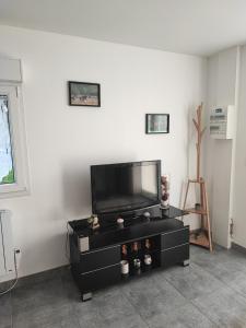 a living room with a tv and a black entertainment center at Aux portes de Chambord in Muides-sur-Loire