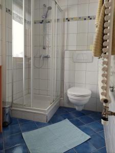 ein Bad mit einer Dusche und einem WC in der Unterkunft Appartement Moosbrugger Haus Elisabeth in Schoppernau