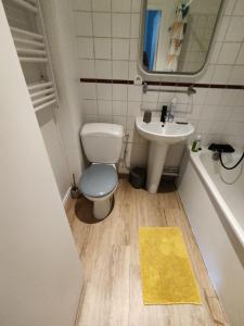 アミアンにあるRésidence Amiens hyper Centreのバスルーム(トイレ、洗面台付)