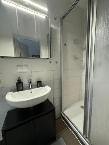 y baño blanco con lavabo y ducha. en Gemütliches Appartement "Franz" in Halle, en Rusches Hof