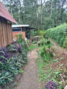 a path in a garden next to a house at Cabaña bosque río celeste in San Rafael