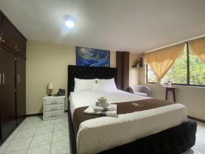 ein Schlafzimmer mit einem großen Bett und einem Fenster in der Unterkunft HOTEL ORILLAS DEL ZAMORA in Zamora