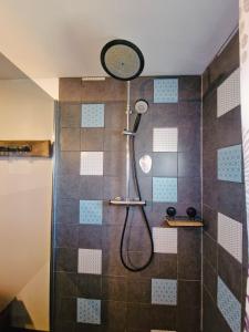 a shower with a shower head in a bathroom at L'insolite MANAP'TIPIK in Saint-Joseph +51 photos