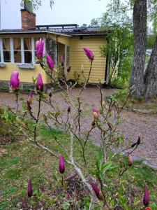Zahrada ubytování Trevligt hus/stuga i Svärtinge