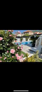 a group of flowers in front of a swimming pool at Nana Apartments in Kaštela