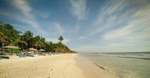Be Tulum Beach & Spa Resort في تولوم: شاطئ به كراسي ومظلات والمحيط