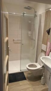a bathroom with a shower and a toilet and a sink at Bauernhaus mit großem Innenhof und Garten - ideal für große Gruppen in Seefeld-Kadolz
