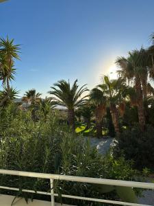 a group of palm trees in a park at Hotel Plakures in Falasarna